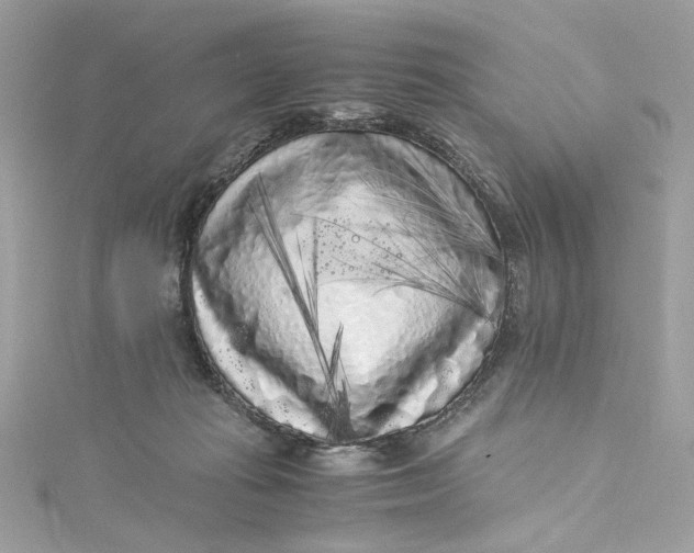 X0000115060269200911161615