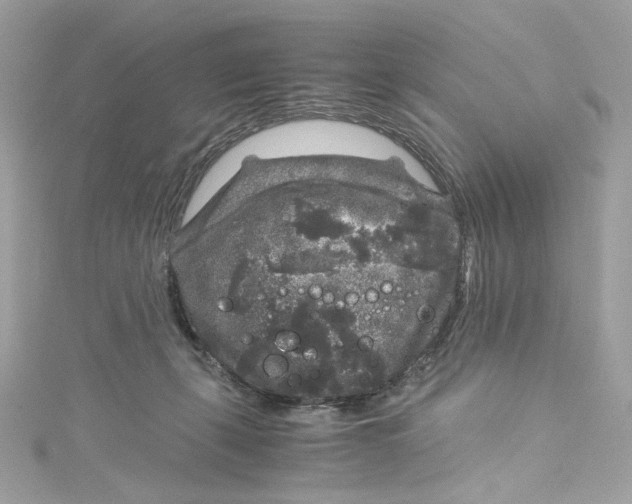 X0000115060271200911161615