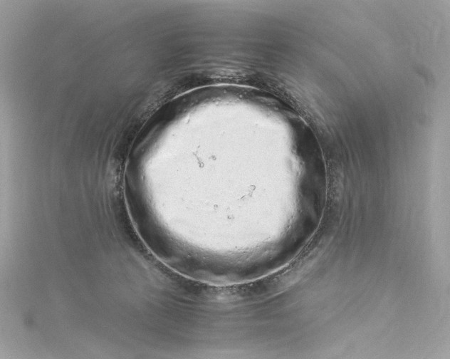 X0000115060273200911161615