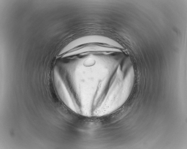 X0000115060275200911161615