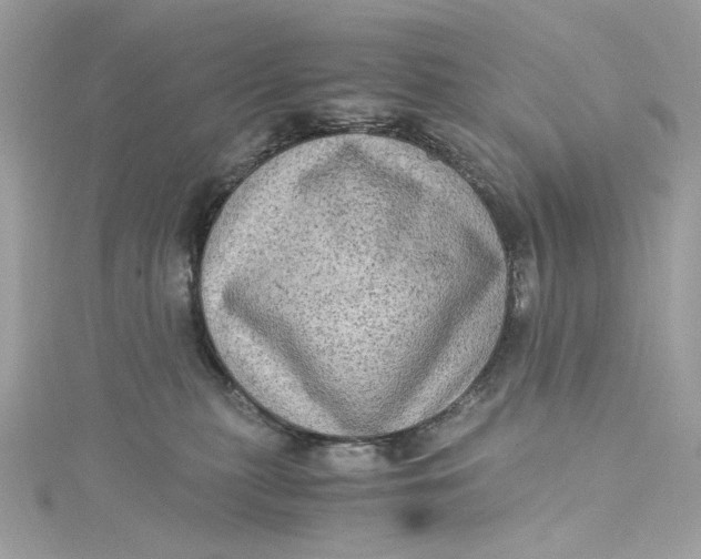 X0000115060279200911161615