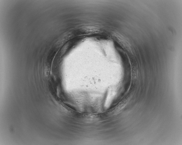 X0000115060281200911161615