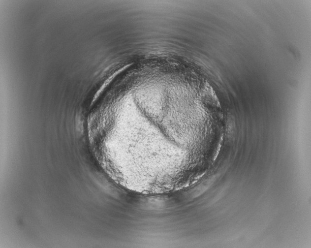 X0000115060282200911161615