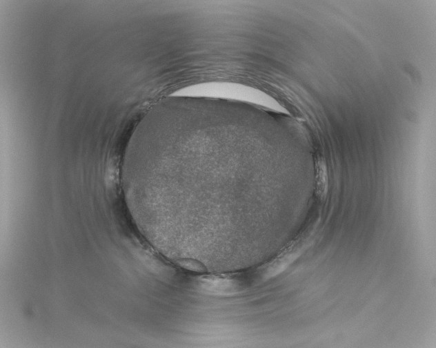 X0000115060284200911161615