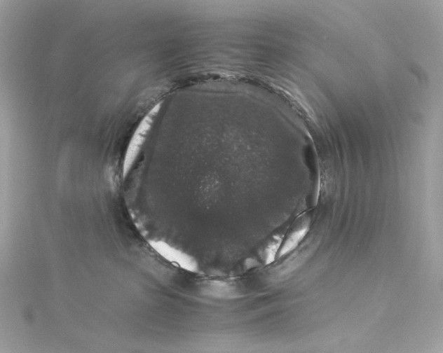 X0000115060285200911161615