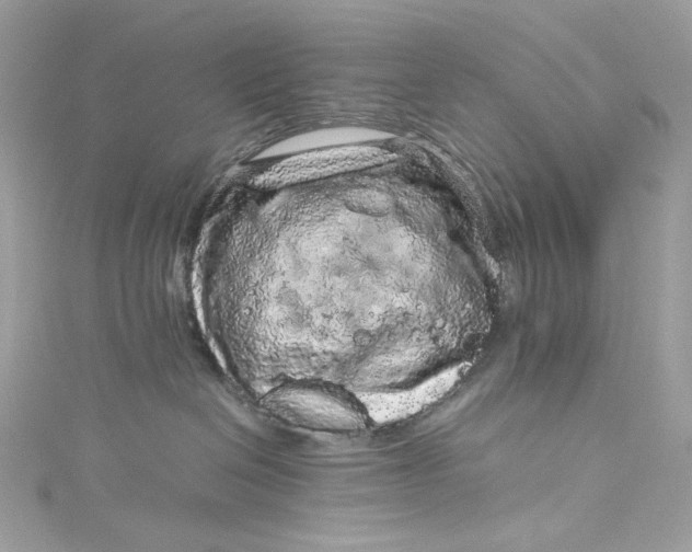 X0000115060286200911161615