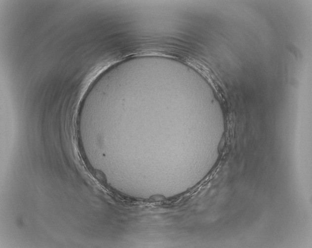 X0000115060289200911161614