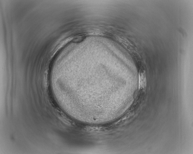 X0000115060291200911161614