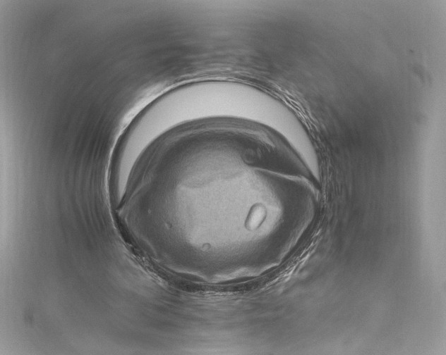 X0000115060292200911161614