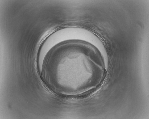 X0000115060293200911161614