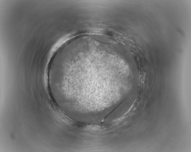 X0000115060294200911161614