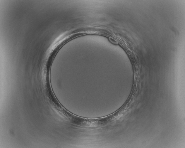 X0000115060295200911161614