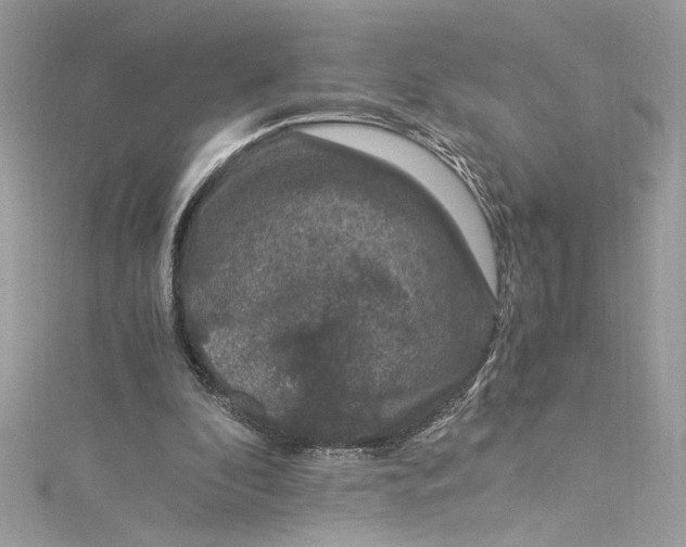 X0000115060296200911161614