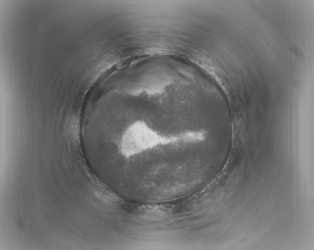 X0000115060297200911161614