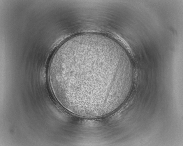 X0000115060298200911161614