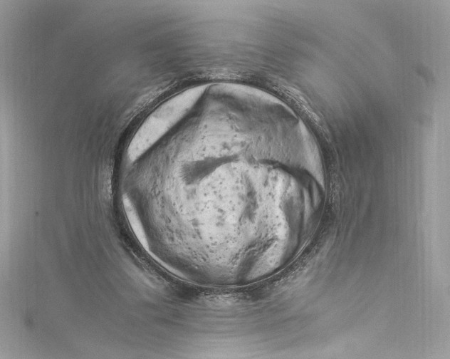 X0000115060299200911161614