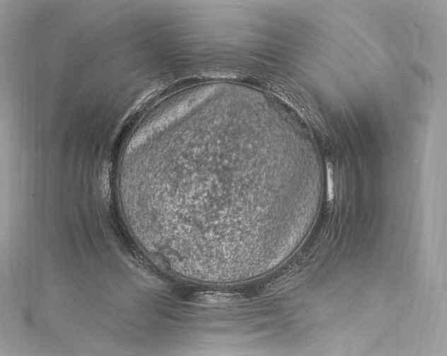 X0000115060300200911161614