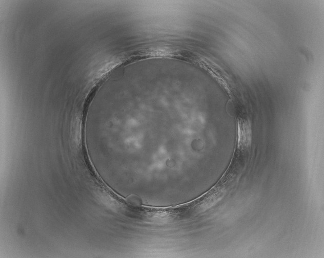 X0000115060301200911161614