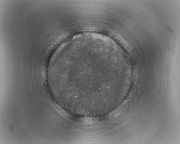 X0000115060305200911161614