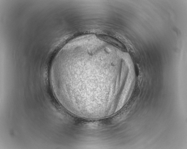 X0000115060306200911161614