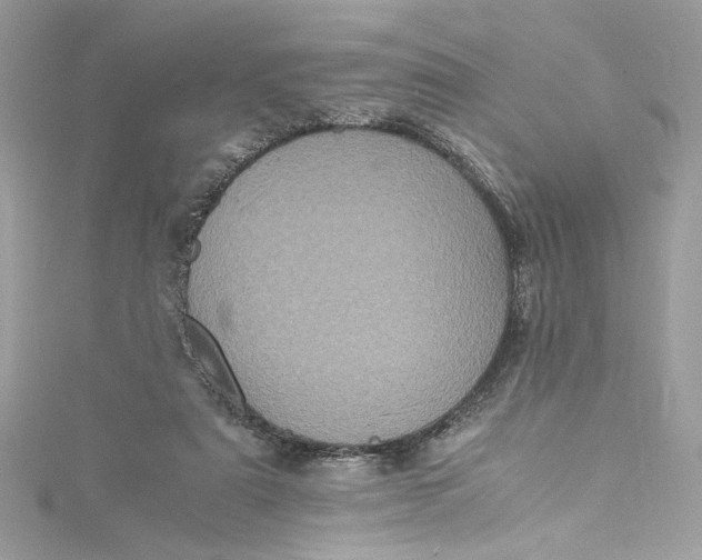 X0000115060307200911161614