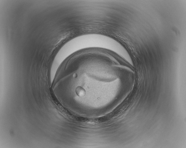 X0000115060308200911161614