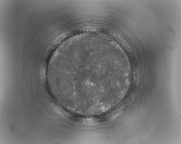 X0000115060309200911161614