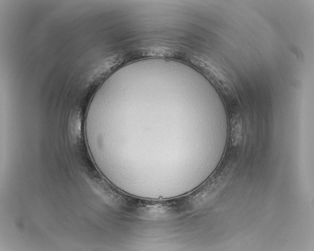 X0000115060310200911161614