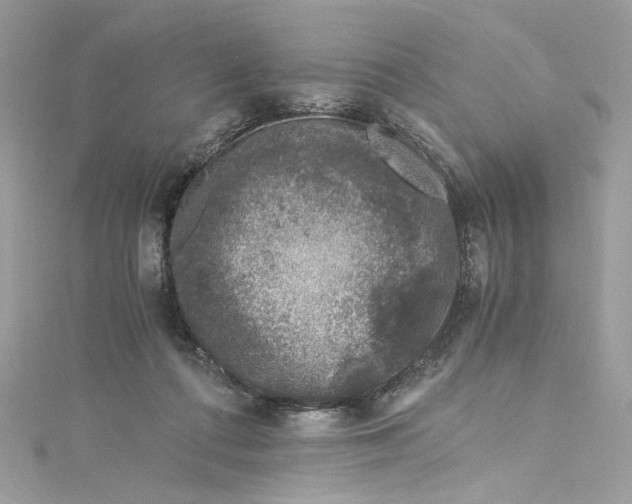 X0000115060312200911161614