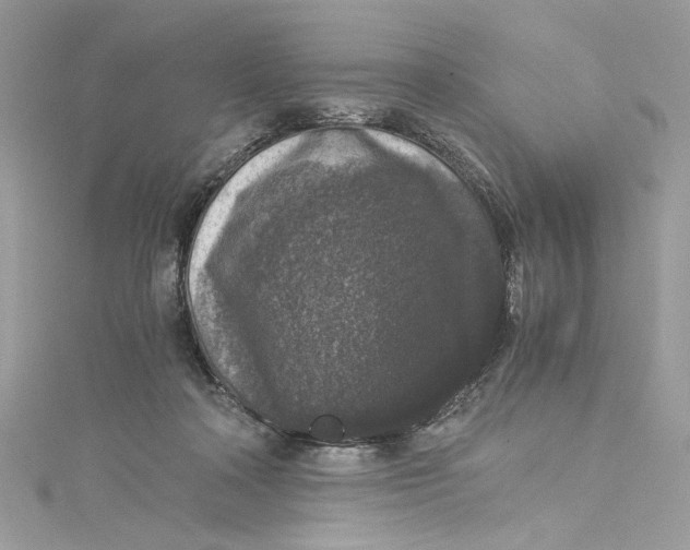 X0000115060314200911161614