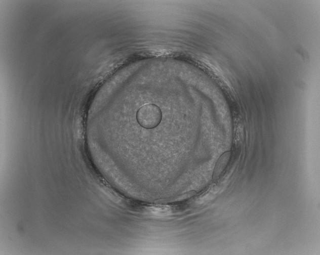 X0000115060317200911161614