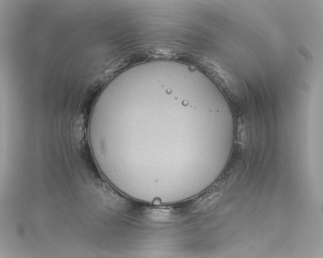 X0000115060318200911161614