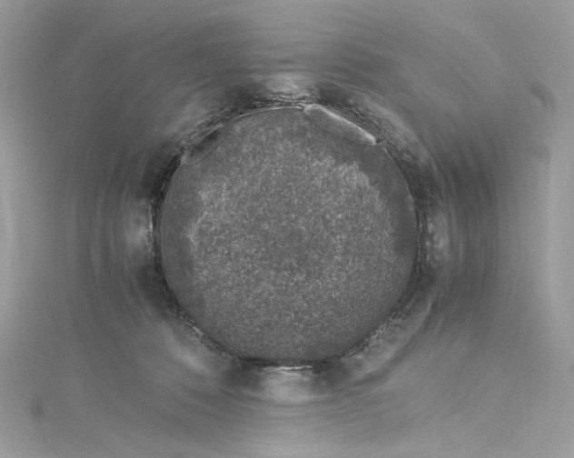 X0000115060320200911161614