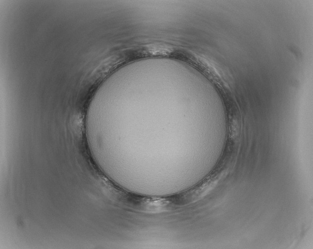 X0000115060321200911161614