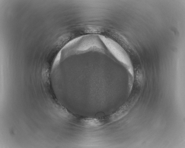 X0000115060322200911161614