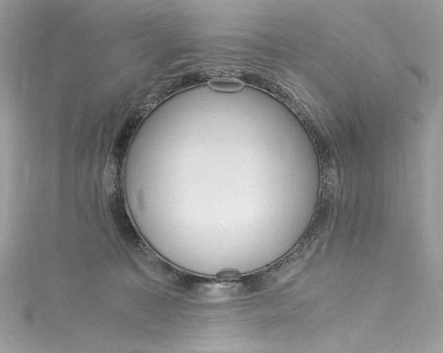 X0000115060323200911161614