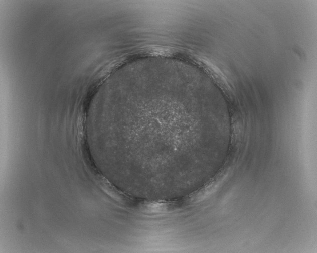 X0000115060325200911161614