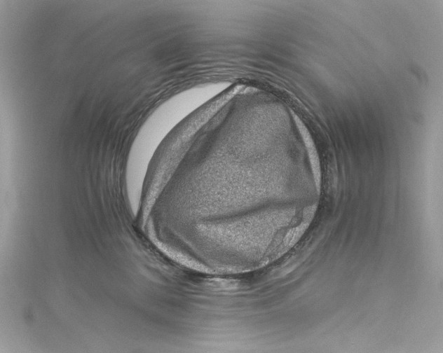 X0000115060328200911161614