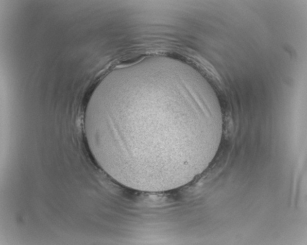 X0000115060329200911161614