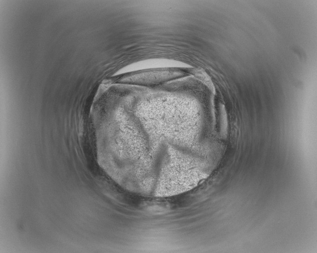 X0000115060331200911161614