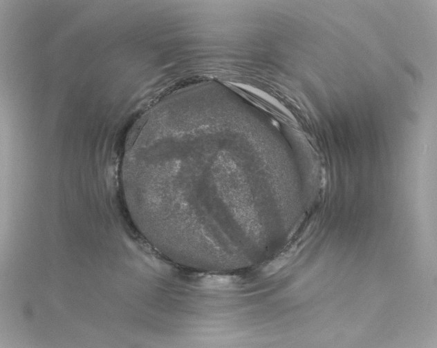 X0000115060332200911161614