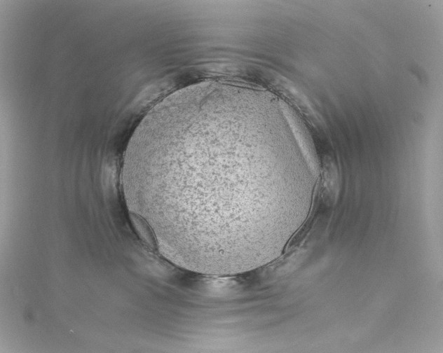 X0000115060333200911161614