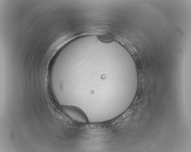 X0000115060338200911161613