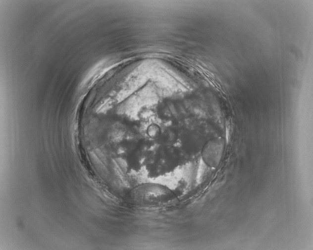 X0000115060339200911161613