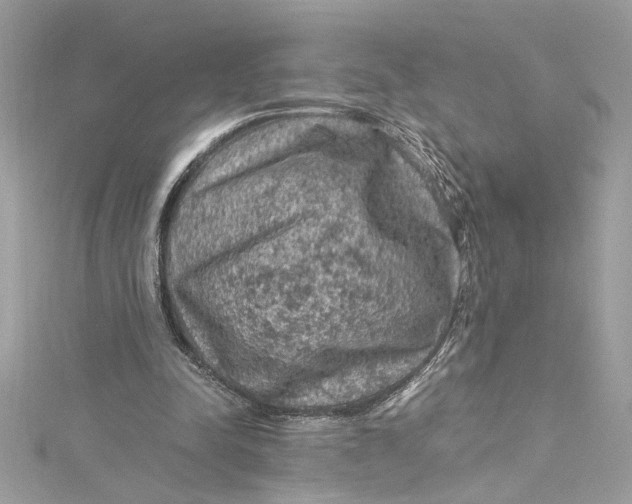 X0000115060342200911161613