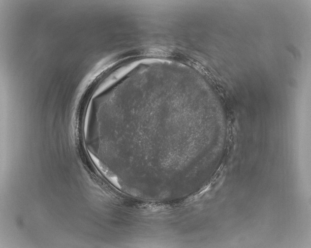 X0000115060343200911161613