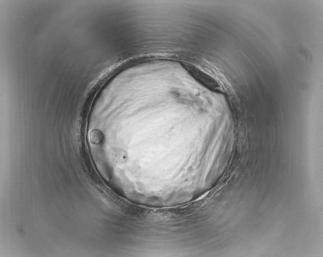 X0000115060346200911161613