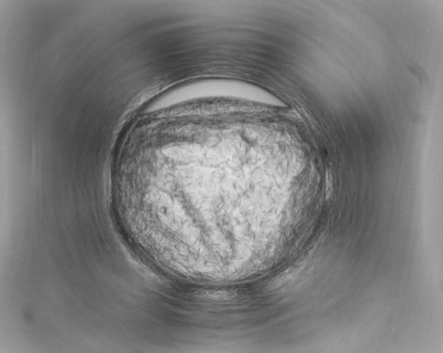 X0000115060349200911161613