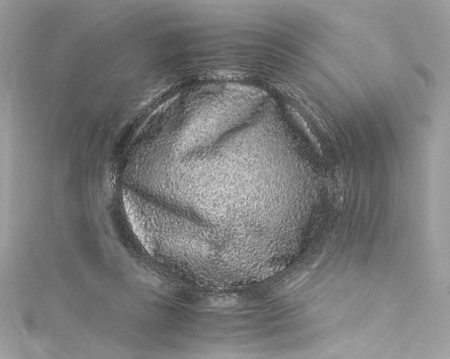 X0000115060355200911161613