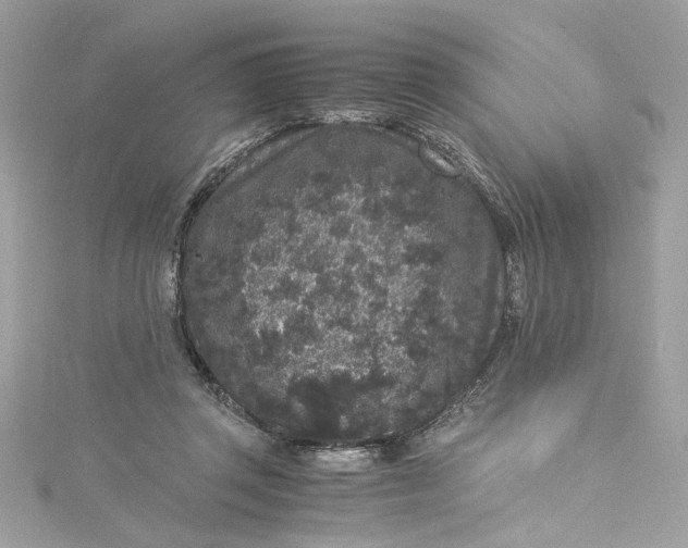 X0000115060357200911161613